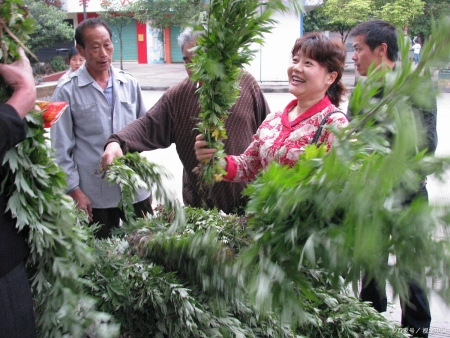 今年端午节哪天割艾草好？老人说“前三后四最合适”，有啥说法？（端午节割艾草的讲究视频）